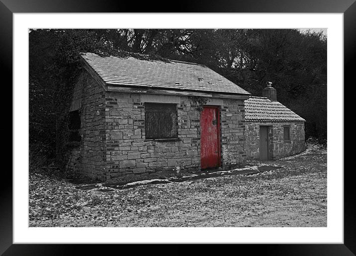 red shed Framed Mounted Print by mike fox