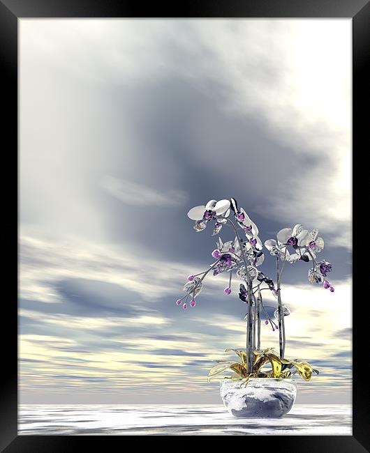 Silver and gold orchids Framed Print by Nicholas Burningham