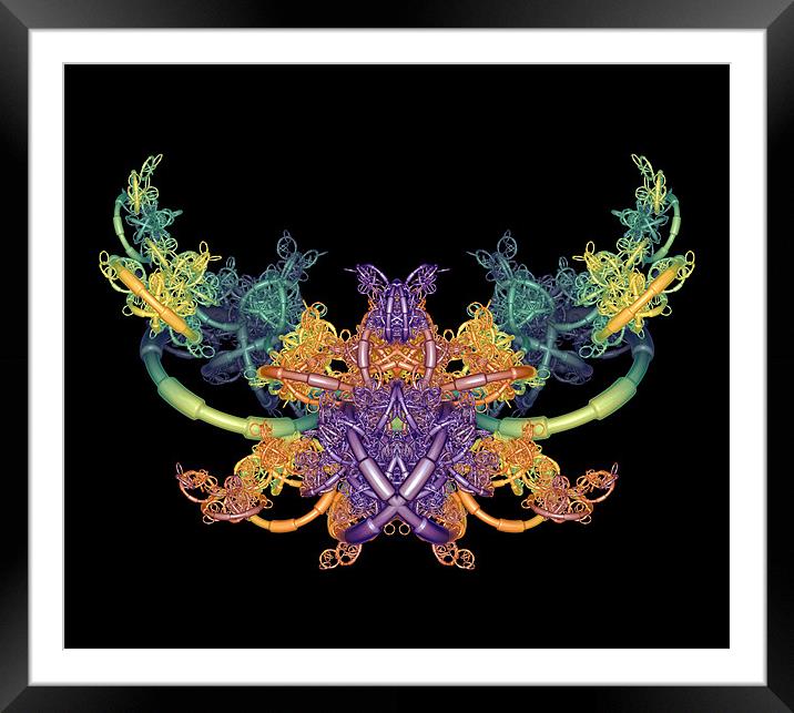 Fractal Butterfly Framed Mounted Print by Nicholas Burningham