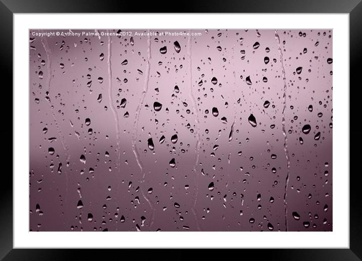 Rain Drops Framed Mounted Print by Anthony Palmer-Greene