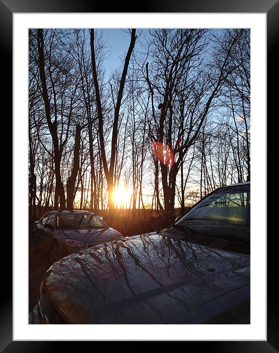 Sunset through the bare forest Framed Mounted Print by Madi Trumble