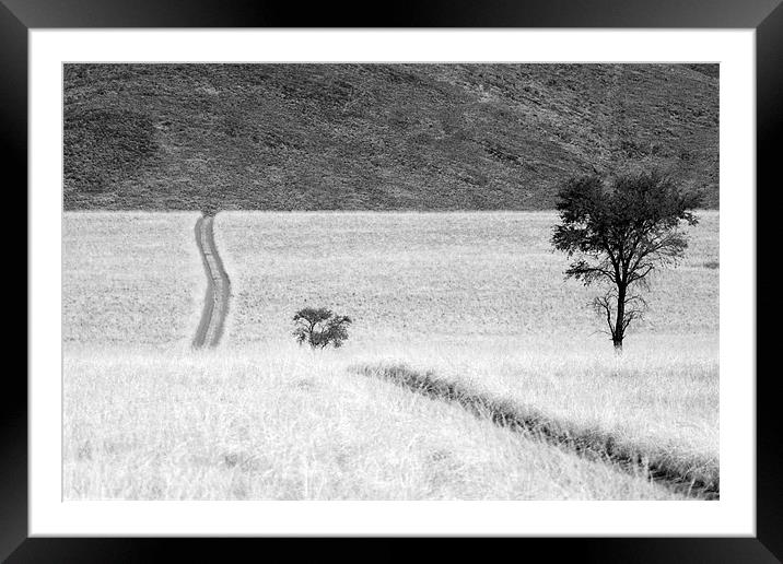 Namibian Trees 4 B&W Framed Mounted Print by Alan Bishop