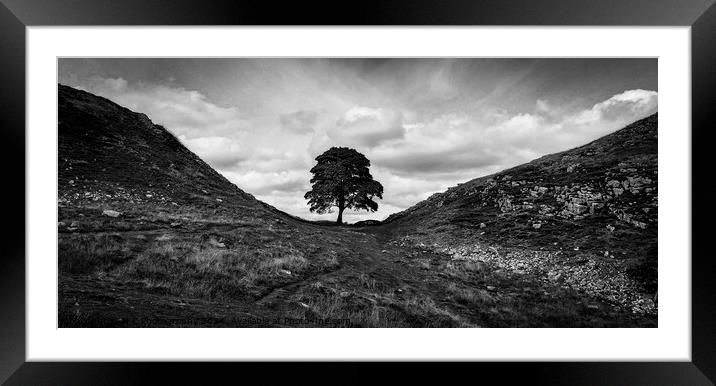 Past Strength Framed Mounted Print by N C Photography