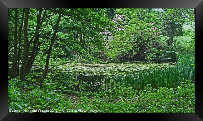 Hidden Pond Framed Print by N C Photography