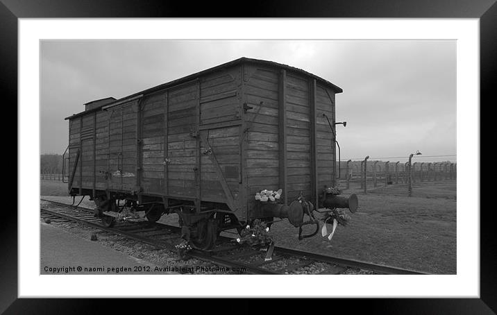 Cattle Car Transportation Framed Mounted Print by N C Photography