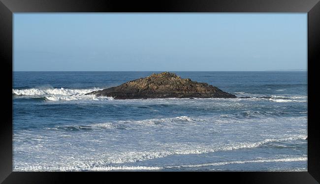 All alone in the Sea Framed Print by N C Photography