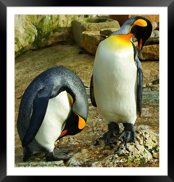 Arty pair of king penquins Framed Mounted Print by Paula Palmer canvas