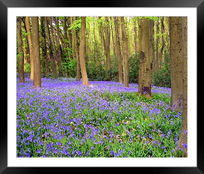 Arty bluebell wood 2 Framed Mounted Print by Paula Palmer canvas