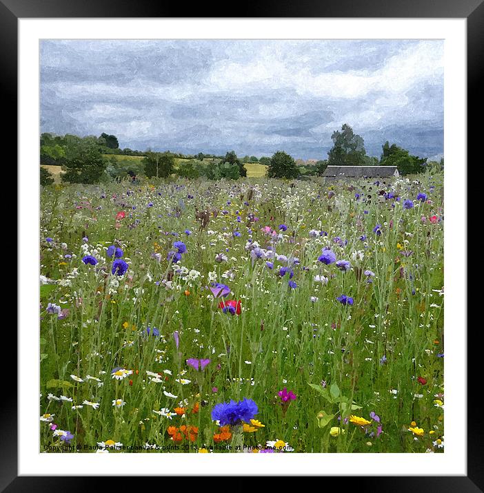 wildflower meadow 3 Framed Mounted Print by Paula Palmer canvas