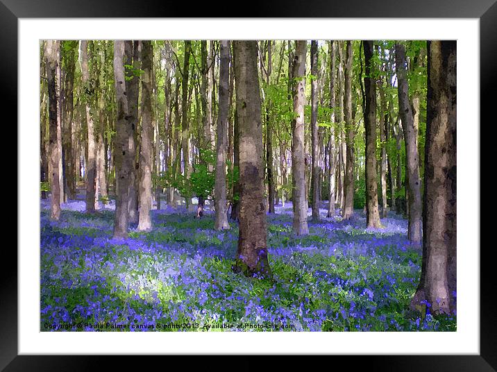 A carpet of bluebells! Framed Mounted Print by Paula Palmer canvas