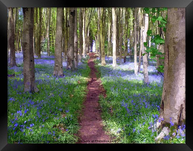 Pathway through the Bluebell wood. Framed Print by Paula Palmer canvas