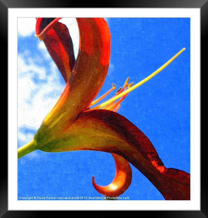 Red lily Framed Mounted Print by Paula Palmer canvas