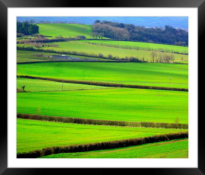 Somerset country view  Framed Mounted Print by Paula Palmer canvas