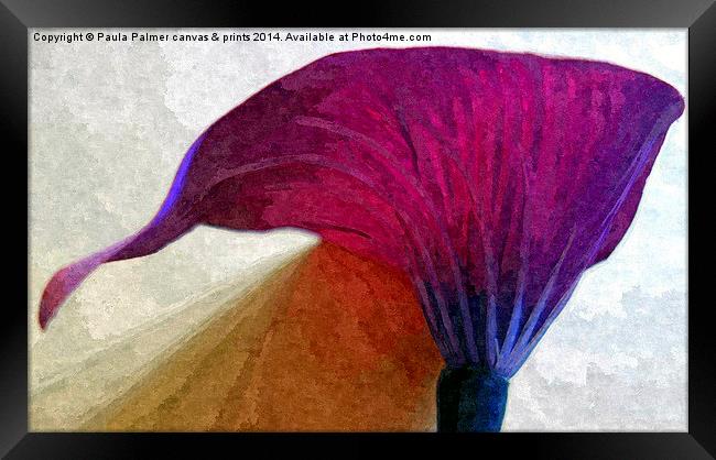 single lily flower Framed Print by Paula Palmer canvas