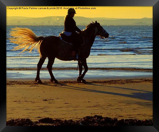 Horse rider on the beach Framed Print by Paula Palmer canvas