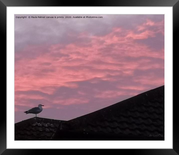 Pink Rooftop sunset Framed Mounted Print by Paula Palmer canvas