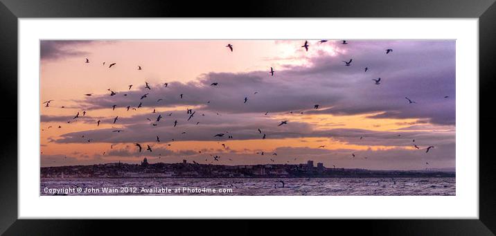 Birds at Sunset Framed Mounted Print by John Wain