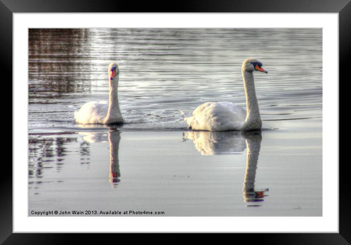Bonded Swans on the Canal Framed Mounted Print by John Wain