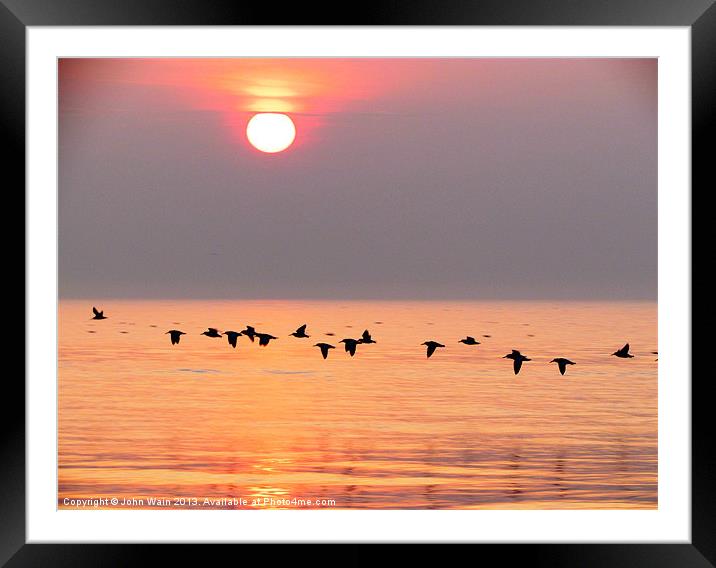 Birds at Sunset Framed Mounted Print by John Wain