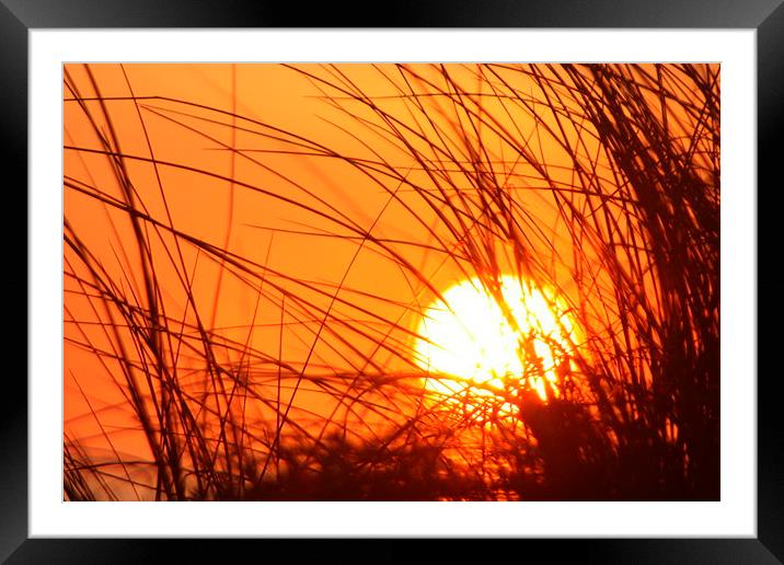 Sunset Through the Grass Framed Mounted Print by John Wain