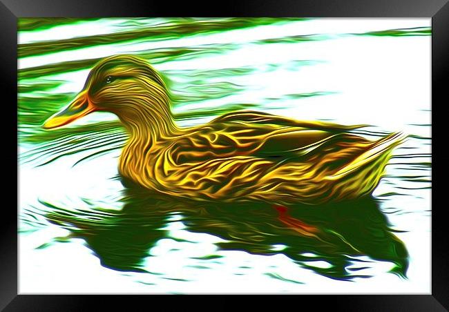 Lady Duck (Digital Art) Framed Print by John Wain