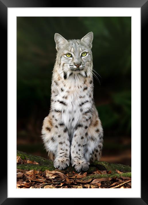 Divinity Framed Mounted Print by Big Cat Rescue