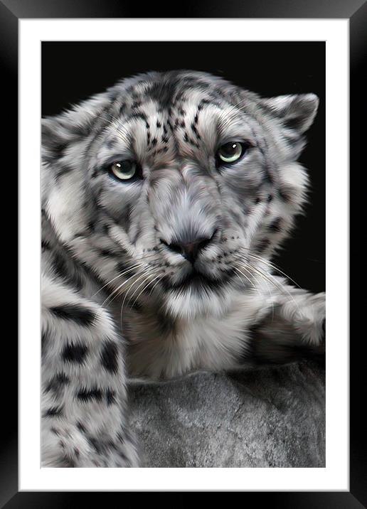 Hercules Framed Mounted Print by Big Cat Rescue