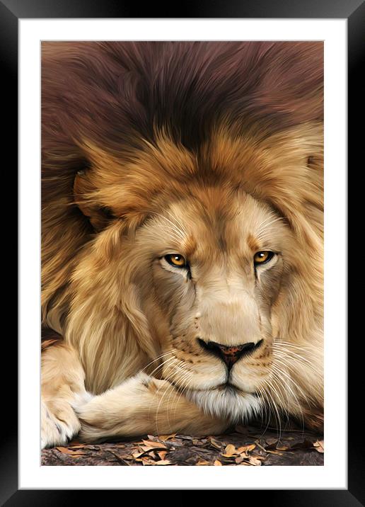 Joseph Framed Mounted Print by Big Cat Rescue