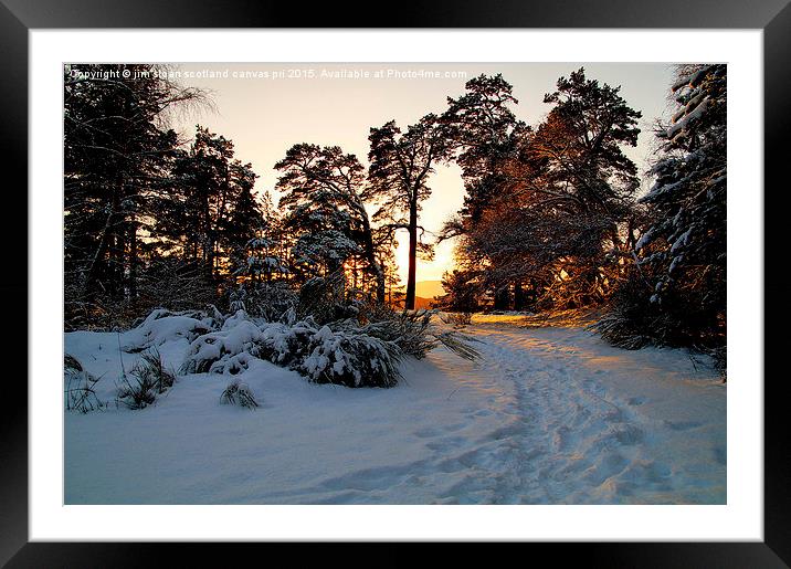  Sunset through the trees Framed Mounted Print by jim scotland fine art