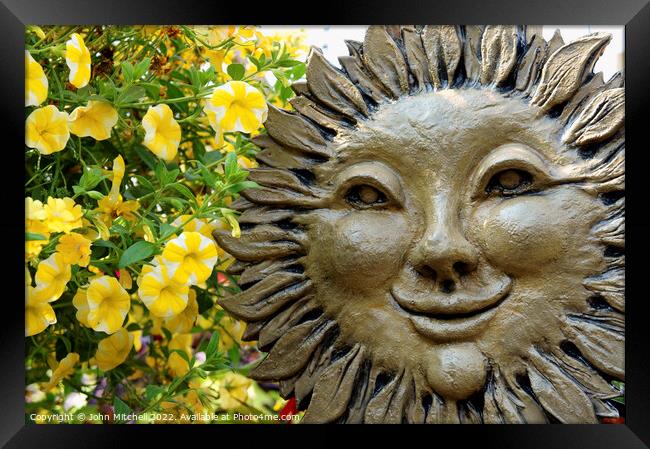 Smiling Sunflower Face Framed Print by John Mitchell