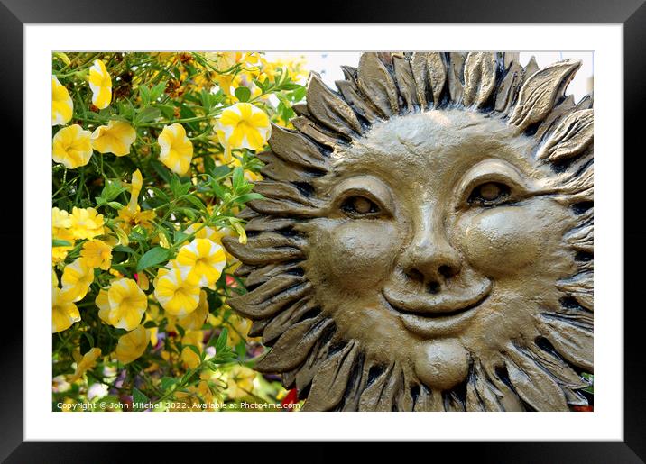 Smiling Sunflower Face Framed Mounted Print by John Mitchell