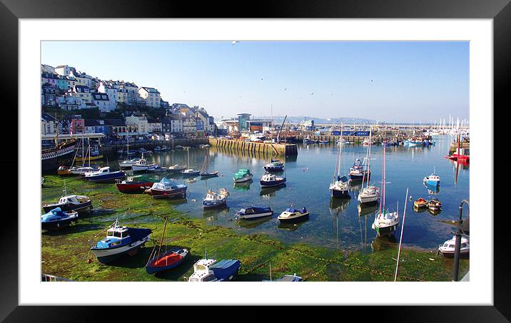 Brixham Harbour Framed Mounted Print by Diane R