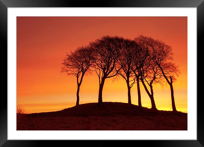 The Copse Framed Mounted Print by Kev Alderson