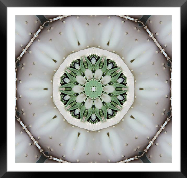 Green and white abstract Framed Mounted Print by Ruth Hallam
