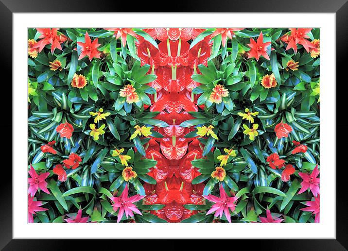 Tropical flower pattern Framed Mounted Print by Ruth Hallam