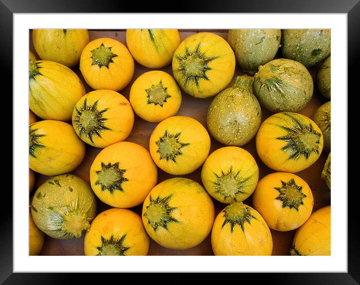 Squashes Framed Mounted Print by Ruth Hallam