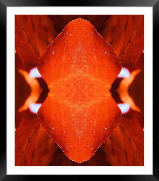 Red abstract Framed Mounted Print by Ruth Hallam