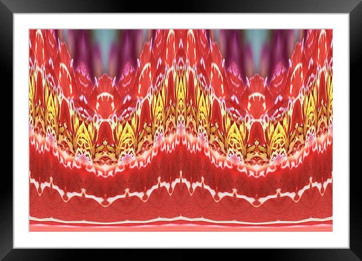 Orange abstract Framed Mounted Print by Ruth Hallam