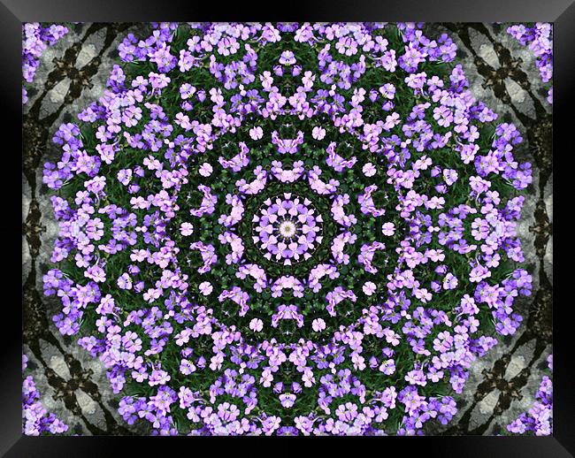 Purple abstract Framed Print by Ruth Hallam