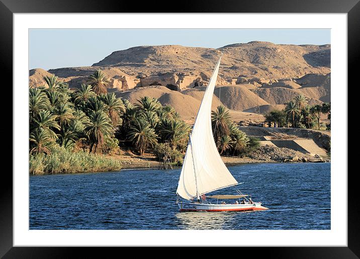 Felucca 2 Framed Mounted Print by Ruth Hallam