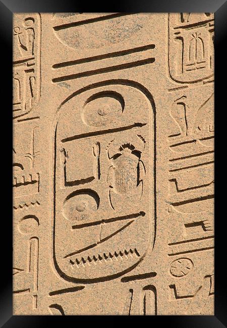 Karnak Temple 37 Framed Print by Ruth Hallam