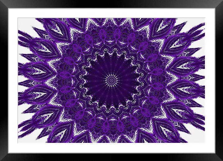 Purple abstract 2 Framed Mounted Print by Ruth Hallam