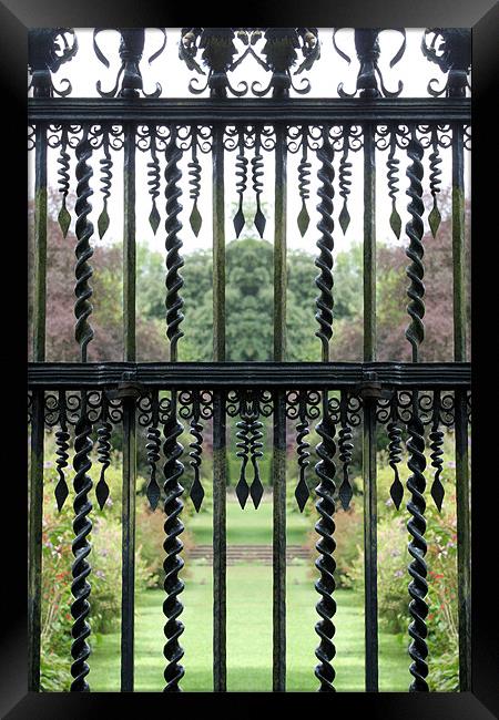Garden railing 2 Framed Print by Ruth Hallam