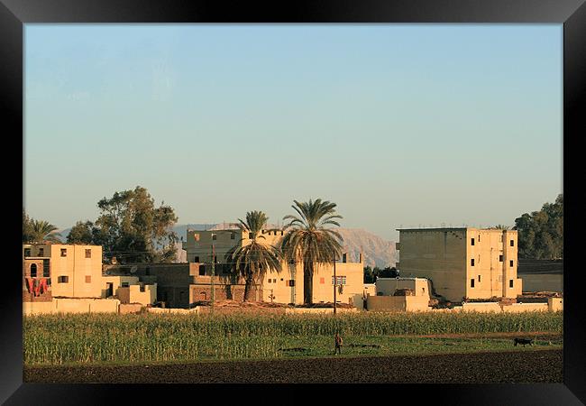 Houses along the River Nile Framed Print by Ruth Hallam