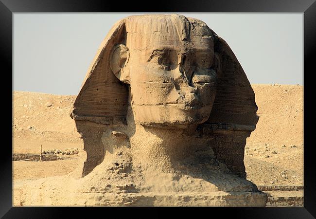 Great Sphinx of Giza Framed Print by Ruth Hallam