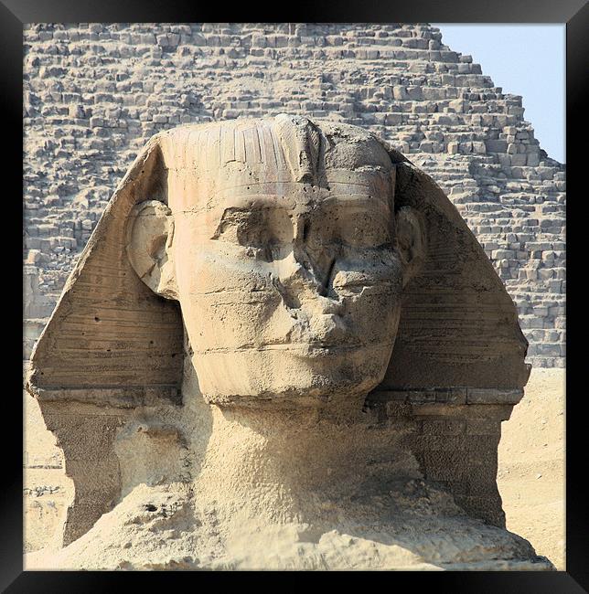 Great Sphinx of Giza 7 Framed Print by Ruth Hallam