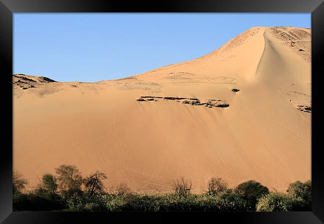 Egyptian desert 4 Framed Print by Ruth Hallam