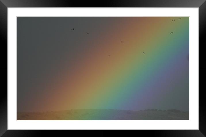 Rainbow Framed Mounted Print by Ruth Hallam