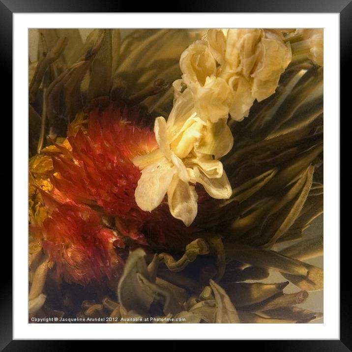 Jasmine Tea Flower Framed Mounted Print by Jacqueline Love