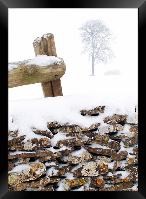 Cotswold drystone wall and field in winter Framed Print by Steve Smith